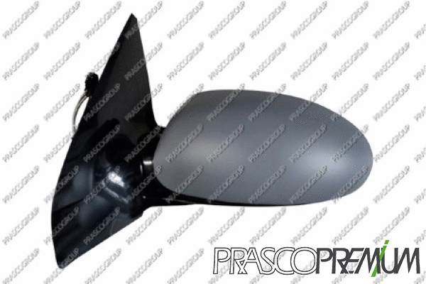 Exterior Mirror (FD4207324P)