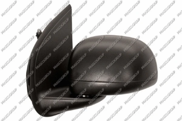 Exterior Mirror (FT1247104)