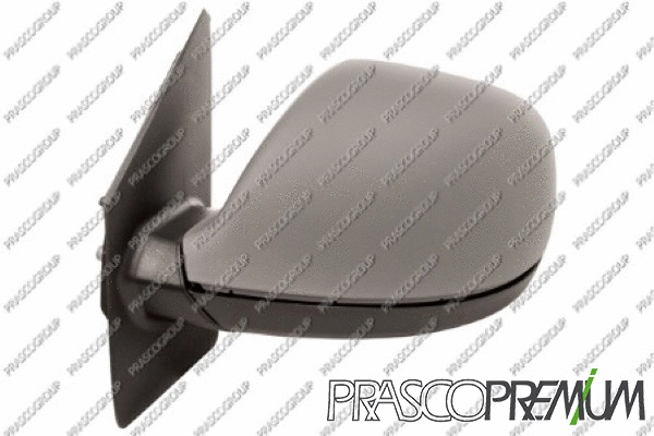 Exterior Mirror (VG9197324P)