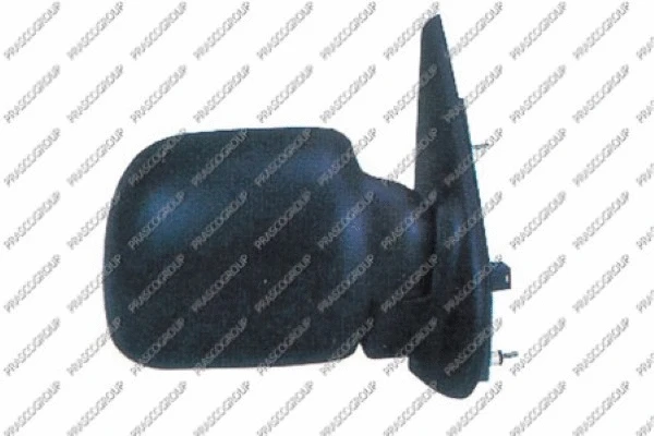 Exterior Mirror (RN9167113)