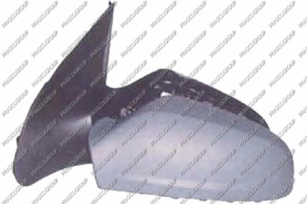 Exterior Mirror (OP4107124)
