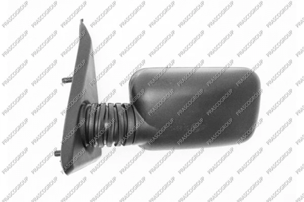 Exterior Mirror (FT1217004)