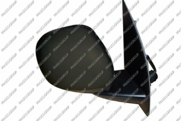 Exterior Mirror (FT1237004)
