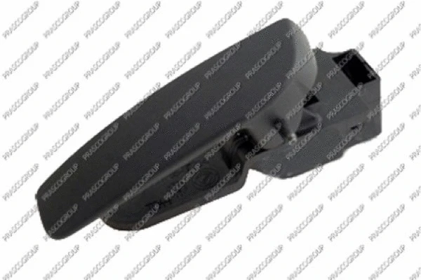 Door Handle, interior equipment (FT9078401)