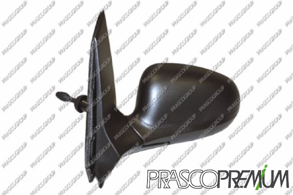 Exterior Mirror (FD0087114P)