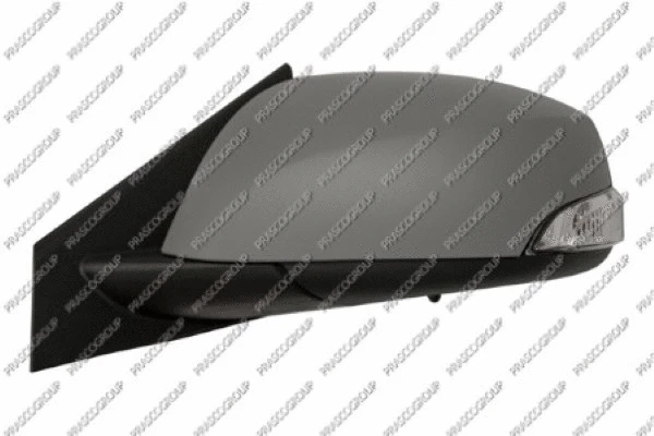 Exterior Mirror (RN0867314)