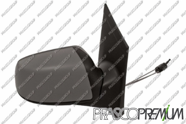 Exterior Mirror (FD4247123P)