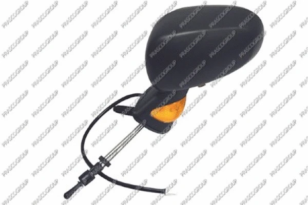 Exterior Mirror (RN3087114P)