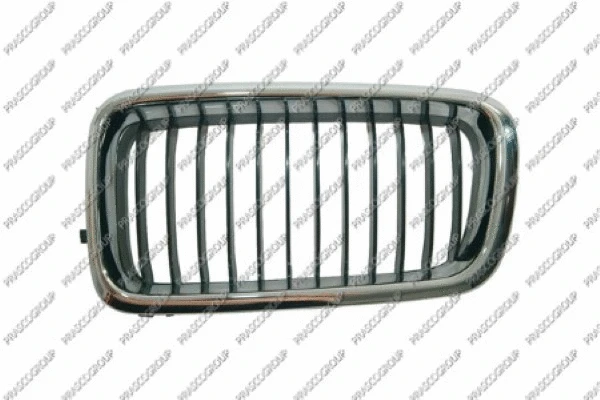 Radiator Grille (BM0982004)