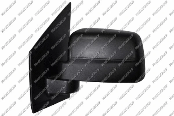 Exterior Mirror (FD9347304)