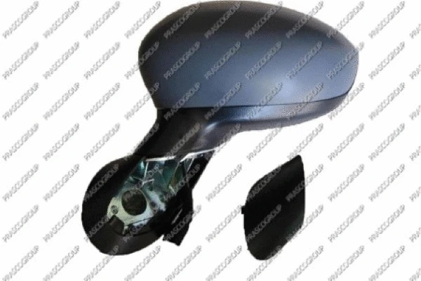 Exterior Mirror (FT0307124)