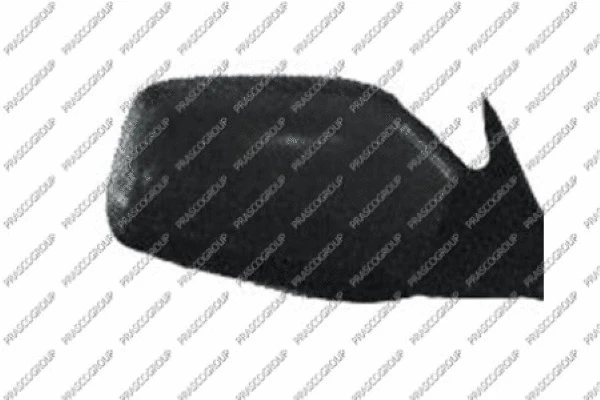 Exterior Mirror (CI0507313)