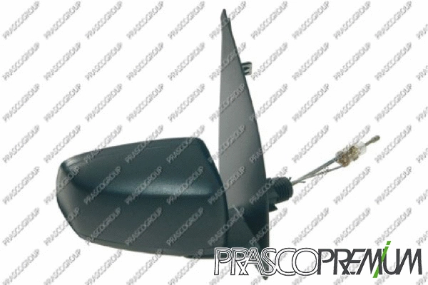 Exterior Mirror (FT1227313P)