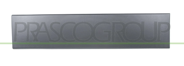 Trim/Protection Strip, door (FT9301458)