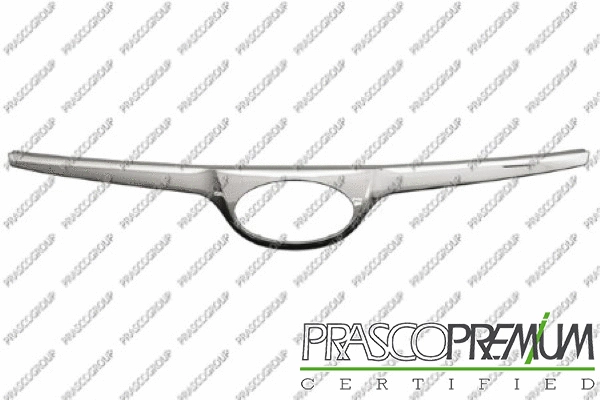 Radiator Grille (HN2002011)