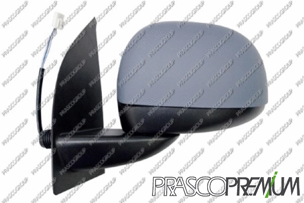 Exterior Mirror (FT1237134P)