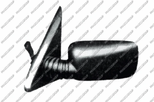 Exterior Mirror (FT1217104)