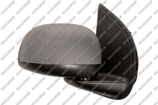 Exterior Mirror (FT1247123)