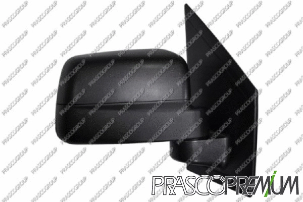 Exterior Mirror (FD9347303P)