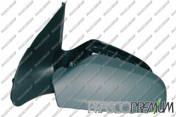 Exterior Mirror (OP4107324P)