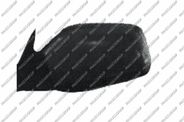 Exterior Mirror (CI0507124)