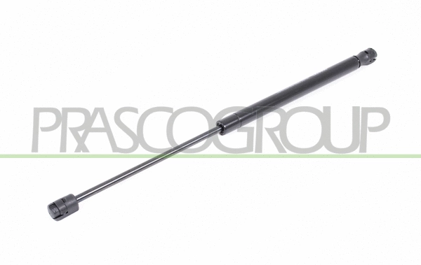 Gas Spring, boot/cargo area (VG0169055)