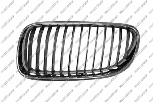 Radiator Grille (BM0252044)