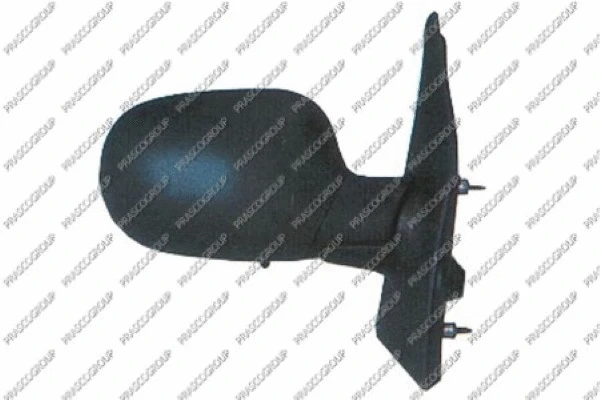 Exterior Mirror (RN0307323)