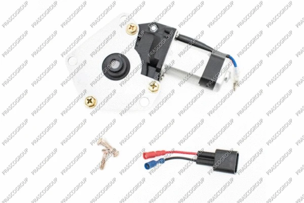 Electric Motor, window regulator (FT420W901)