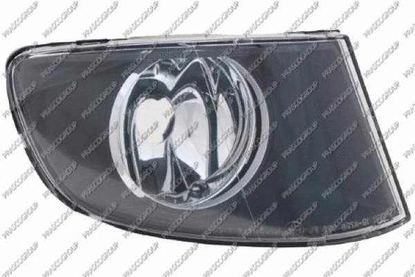 Front Fog Light (BM0254416)
