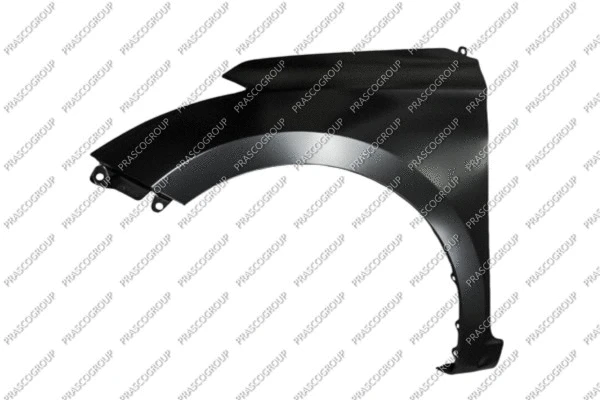 Wing (HN2043004)