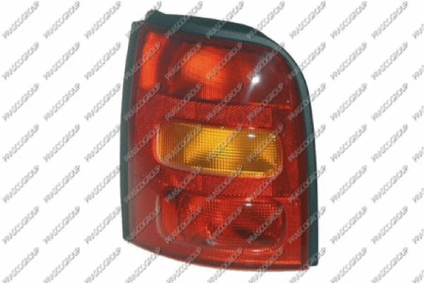 Tail Light Assembly (DS0074054)