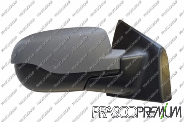 Exterior Mirror (RN3277313P)