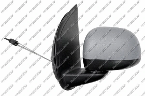 Exterior Mirror (FT1247014)