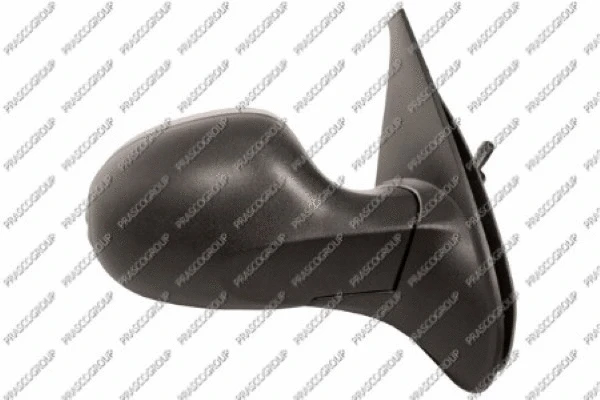 Exterior Mirror (RN3267113)