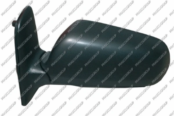 Exterior Mirror (VG0977314)
