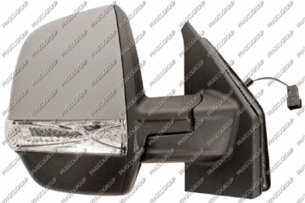 Exterior Mirror (FT9107143)