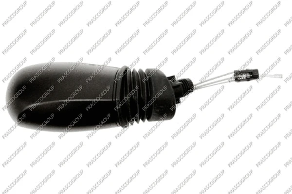 Exterior Mirror (FT1337114)