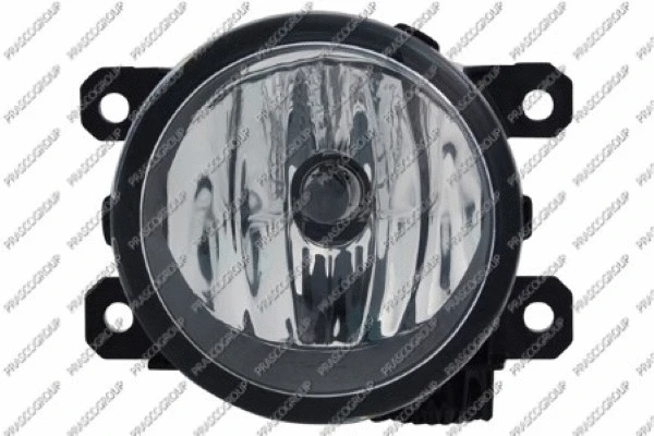Front Fog Light (CI4274430)
