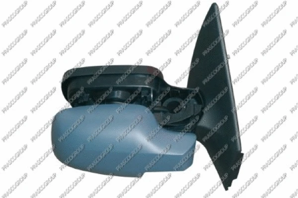 Exterior Mirror (RN4207323)