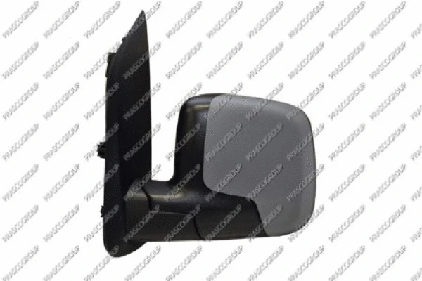 Exterior Mirror (FT9077124)