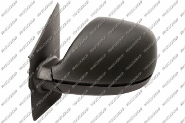 Exterior Mirror (VG9197314)