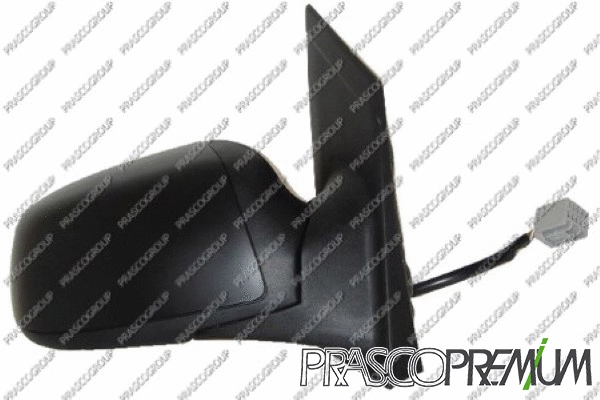 Exterior Mirror (FD4247313P)