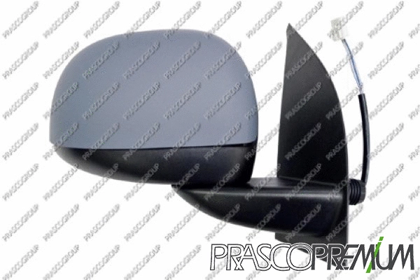 Exterior Mirror (FT1237133P)