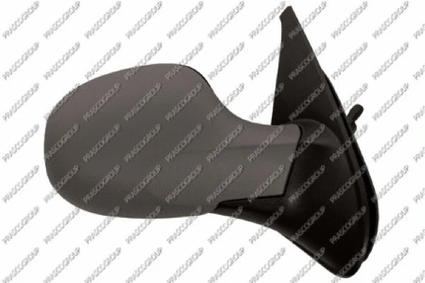 Exterior Mirror (RN3267123)