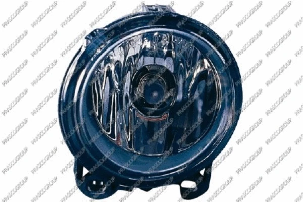 Front Fog Light (BM8204414)