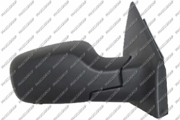 Exterior Mirror (RN3257323P)