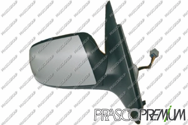 Exterior Mirror (FD1097363P)