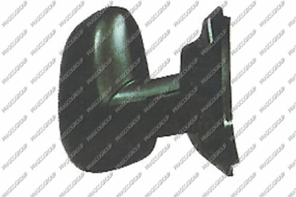 Exterior Mirror (FD9087003)