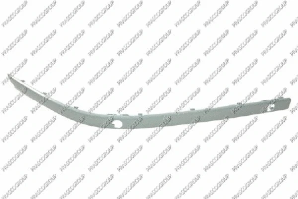 Trim/Protection Strip, bumper (BM0451243)